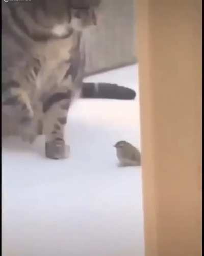 OH MY GOD HES FUCKING DEAD