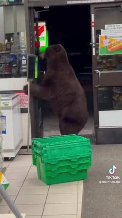 Bear opens 7-Eleven door, lady screams &ldquo;get out!&rdquo;.