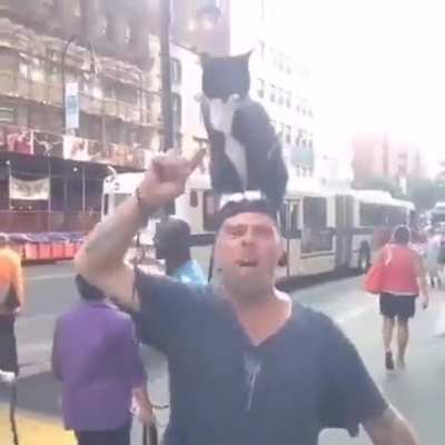 I have a cat and i`ll use it