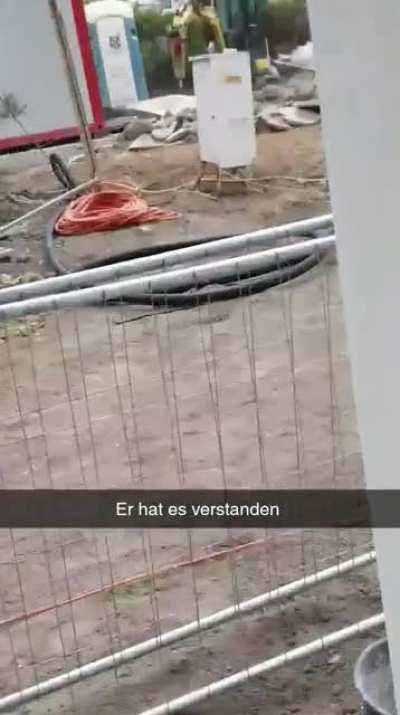 &Ouml;sterreichische Fachkraft