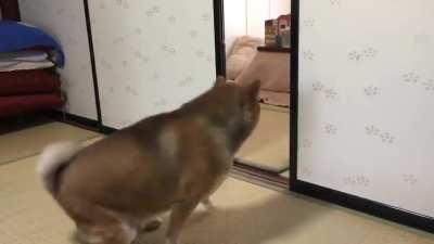 Dinner is late