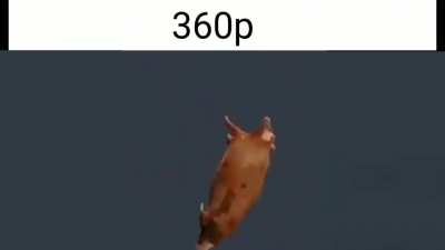 Se liga no corpo do pai