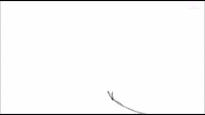 vaccine animation (not mine)