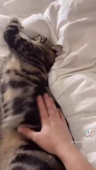 Vet the go don&rsquo;t want he to to