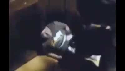 XD