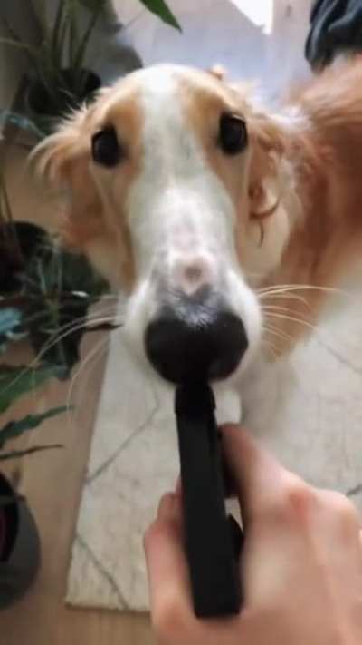 Sharing is caring