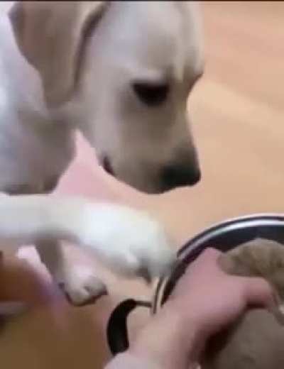 Oglu icin fedakarlik yapan baba gibi baba