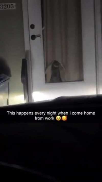 Welcome Home