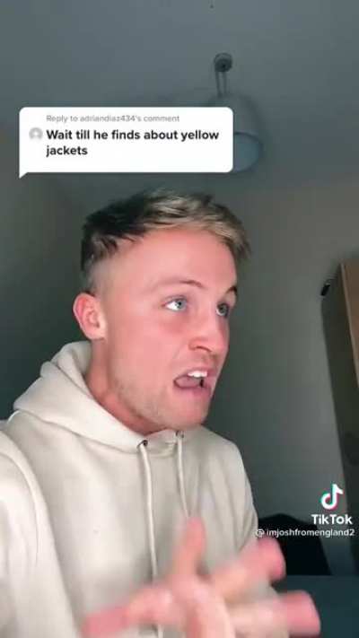 British guy reacts to yellow jackets