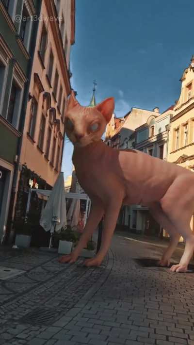 Has anyone lost a 3D cat? I found