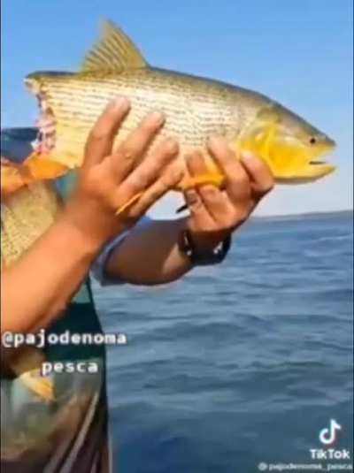 Cuando vas a pescar pero el gobierno te cobra el impuesto ni bien sacas algo del agua...