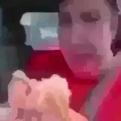 mold sandwich