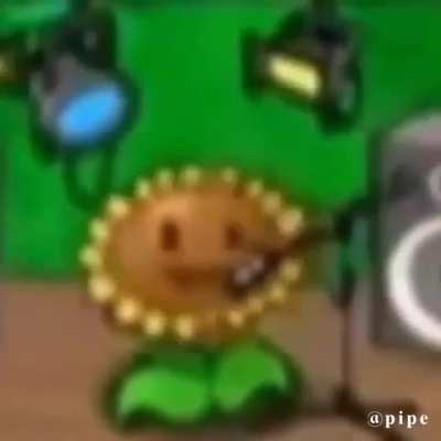 MAAU - Video #0187