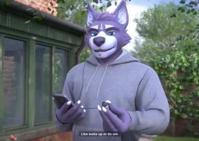 Furry_irl