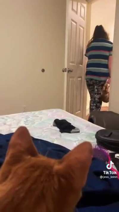 Where&rsquo;s my cat I need to try this.