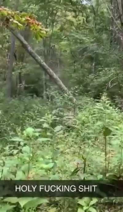 WCGW being unaware of your surroundings