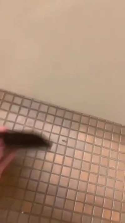 some people just want to watch the world burn