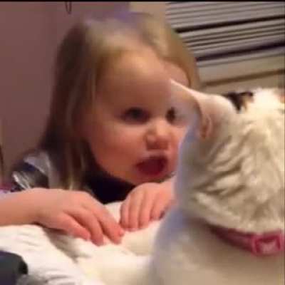 Kitty is not impressed