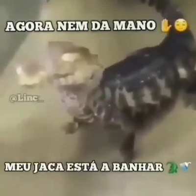 ✋😌