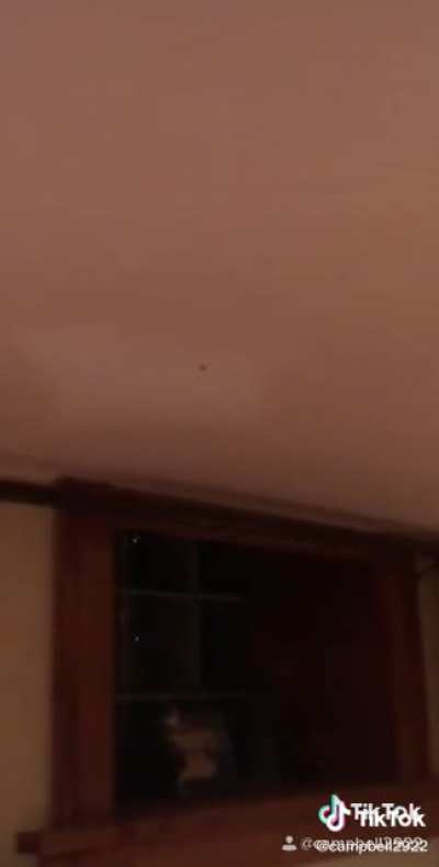 Sniping a bug with a blow dart