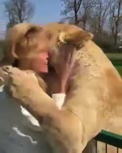 Crazy Cat Lady