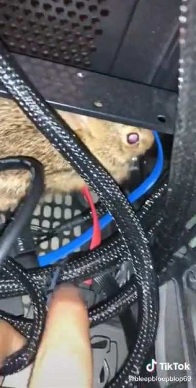 PC runs on energizer