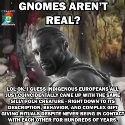 WAKE UP. GNOMES ARE REAL