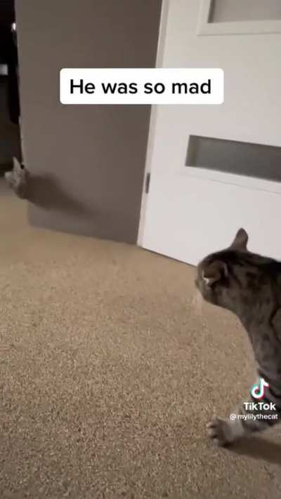 The uncatty valley