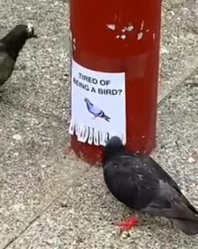 Me_irl