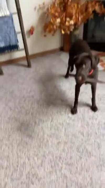 Winston wanted that treat