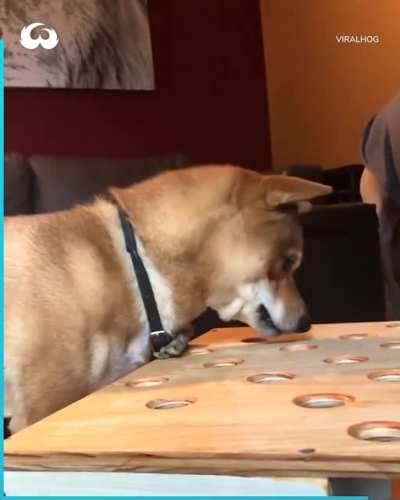 Wack-a-mole Hotdog edition.