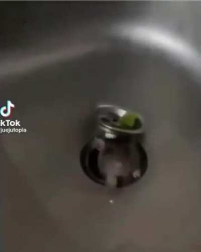 Hai :>