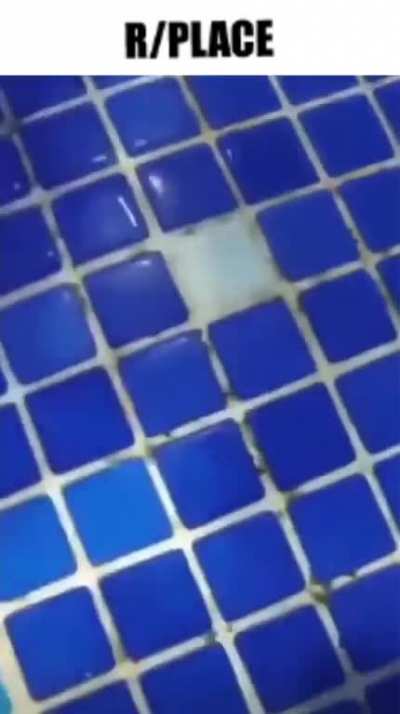 r/place