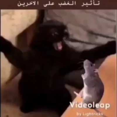 Ne diyim en iyisi yiyin sik d&uuml;r&uuml;m