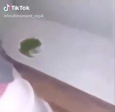 Fr&ouml;g