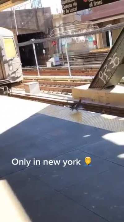 Only in New York👰🏾&zwj;♂️