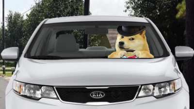 Episode 1 : "doge and big bro"