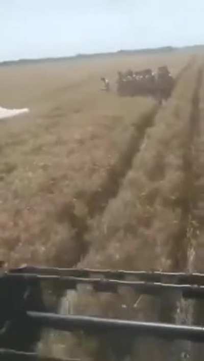 Ortama bak r&ouml;nesans tablosu gibi. Arada konuşan adam t&uuml;rk&ccedil;e mi konuşuyor? Beyaz gandalf &ccedil;ıplak adamlardan mı ka&ccedil;ıyor? &Ccedil;ıldırıyorum.