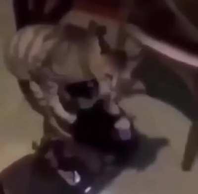 This video is so fuckin funny bruh 😭😭