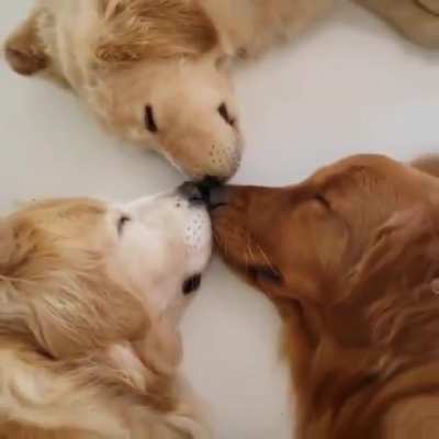 Boop star