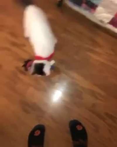 Catto acquires new target