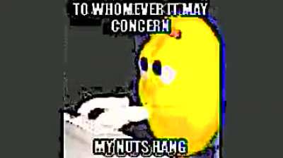 funny.mp4