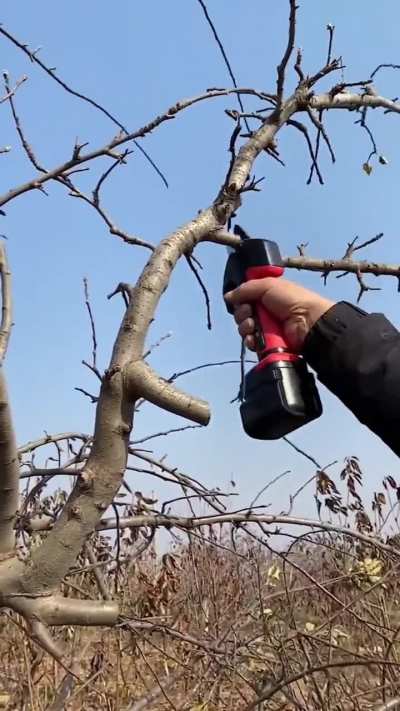 This wood cutter 
