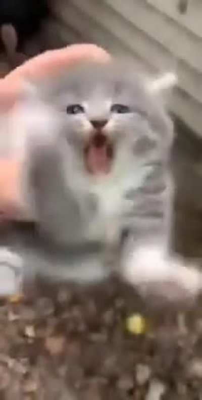 Not happy &amp;gt;:(