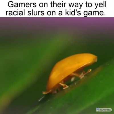 Never heard so many slurs yelled in a single minute as when playing amogus.