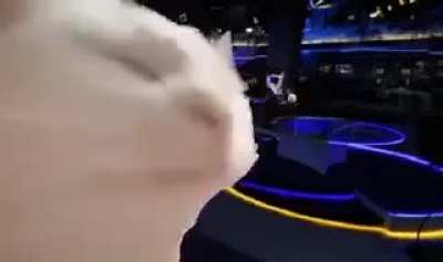 TVN Vibe
