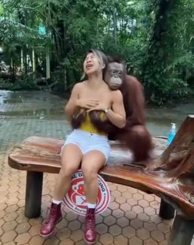 Love is Love