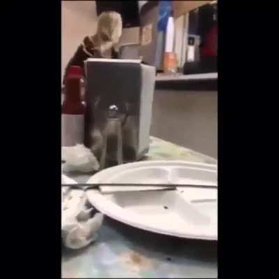 Racist woman gets hit with instant karma.