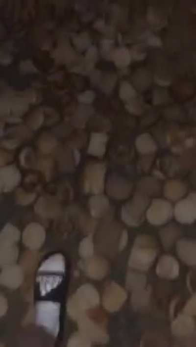the bread