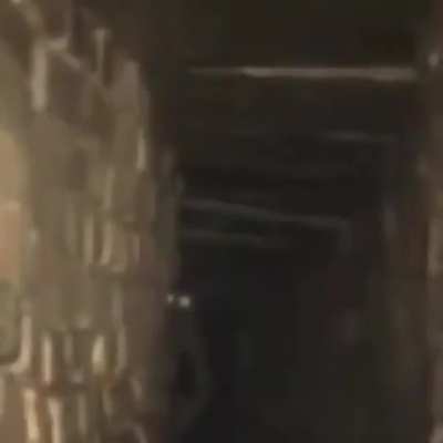 MoldyMemes - Video #7394